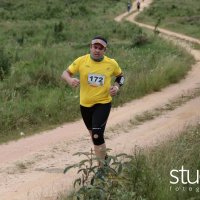 studio s 395